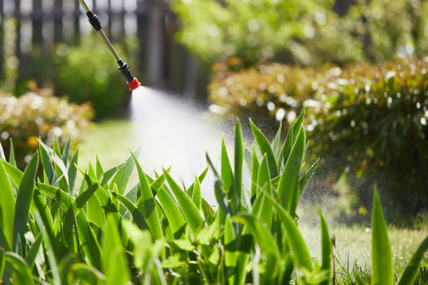 24/7 Emergency Mosquito Control experts in Mount Vista, WA