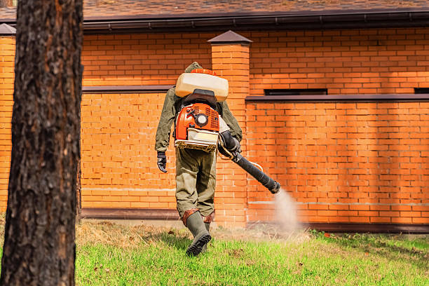 Top rated local Mosquito Control specialists in Mount Vista, WA